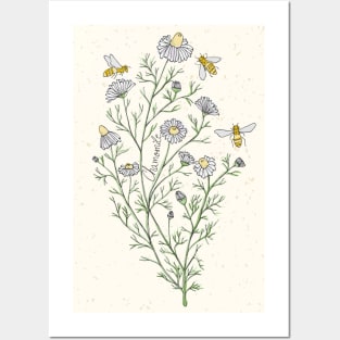 Wildflowers chamomile honey bee Posters and Art